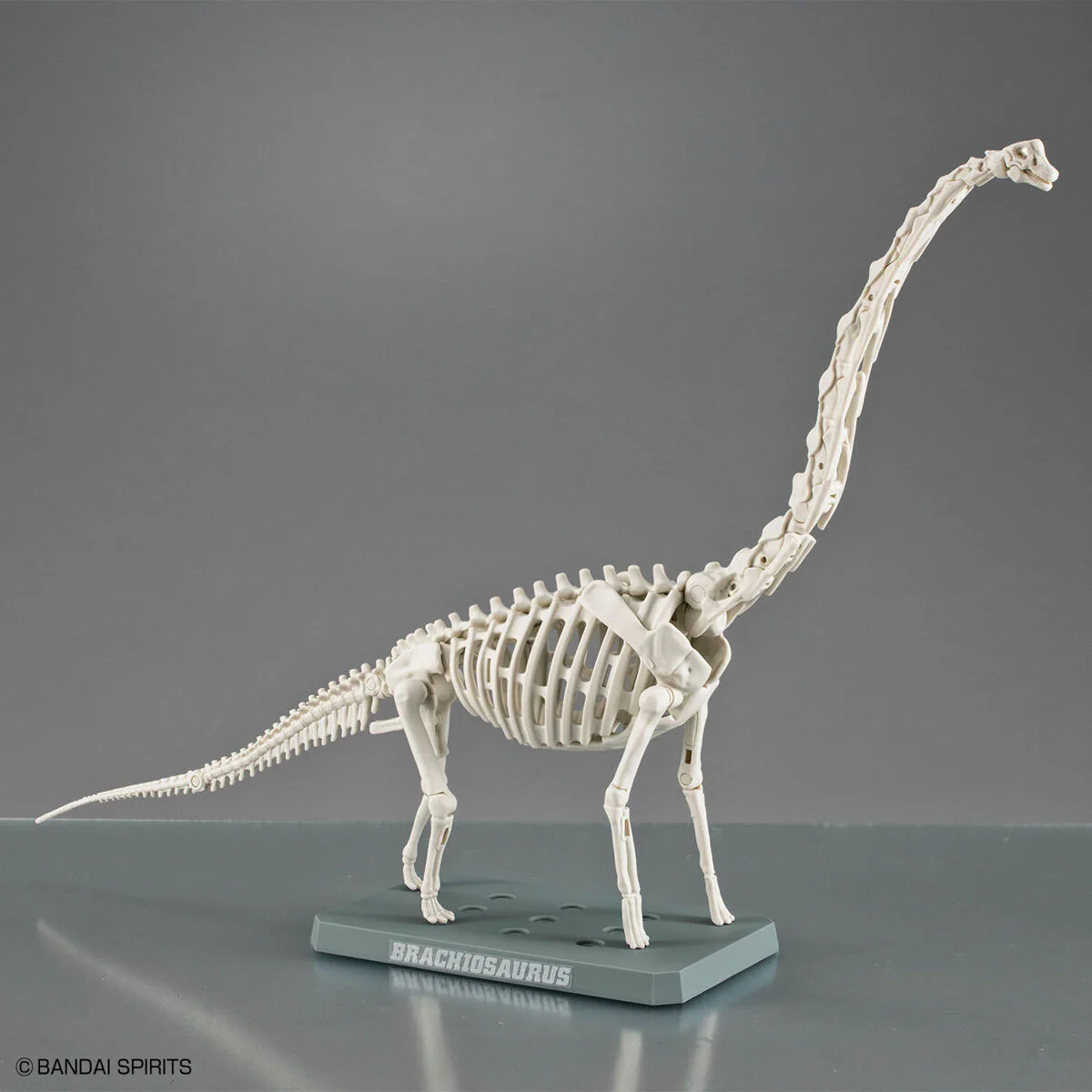 Bandai Plannosaurus Brachiosaurus Model Kit - Image 10