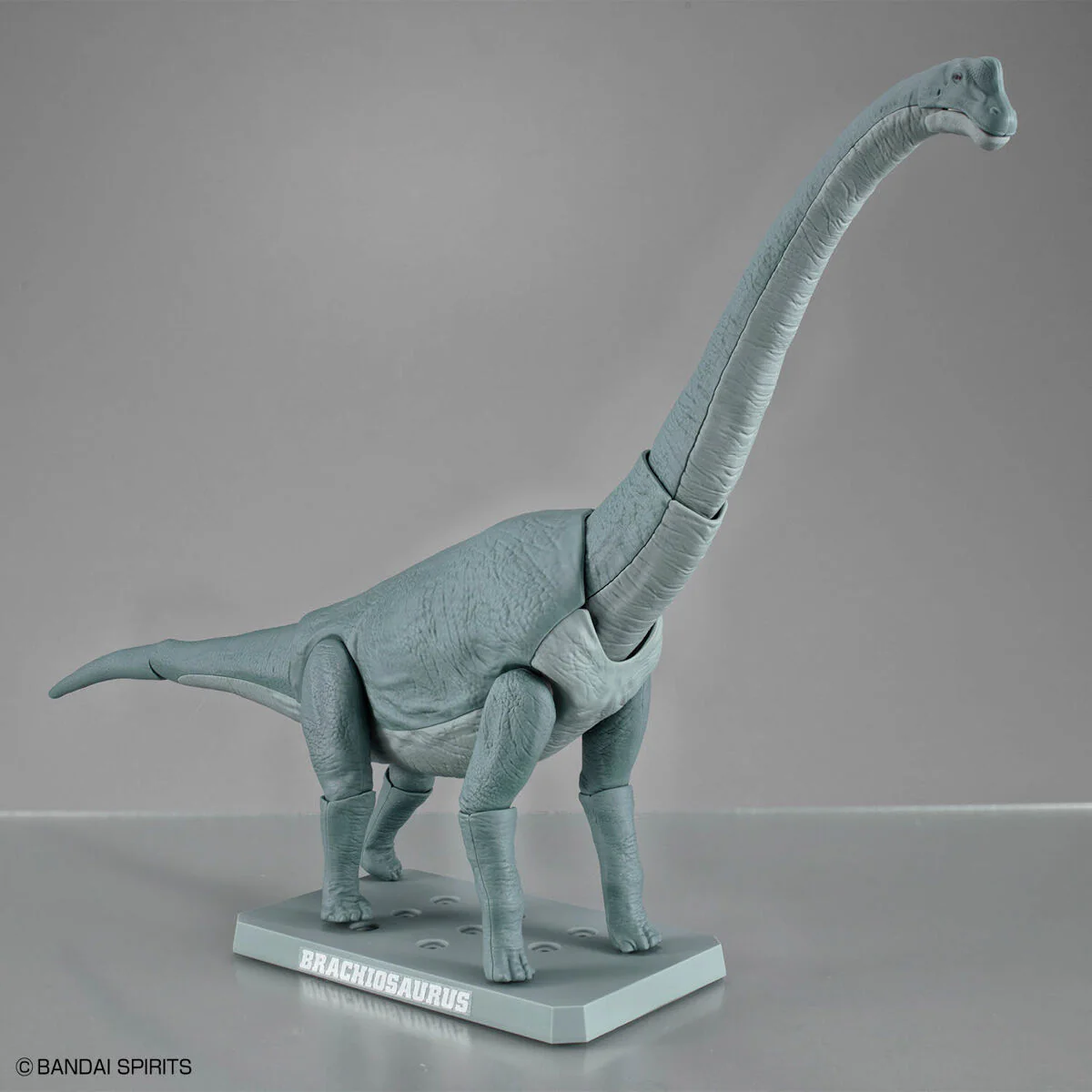 Bandai Plannosaurus Brachiosaurus Model Kit - Image 11