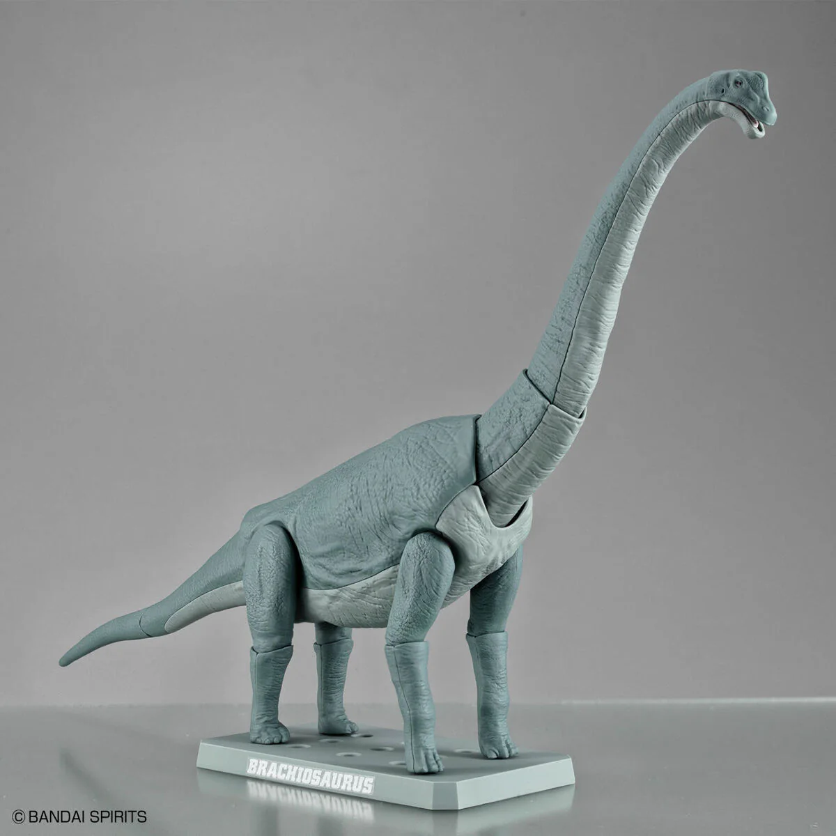 Bandai Plannosaurus Brachiosaurus Model Kit - Image 12