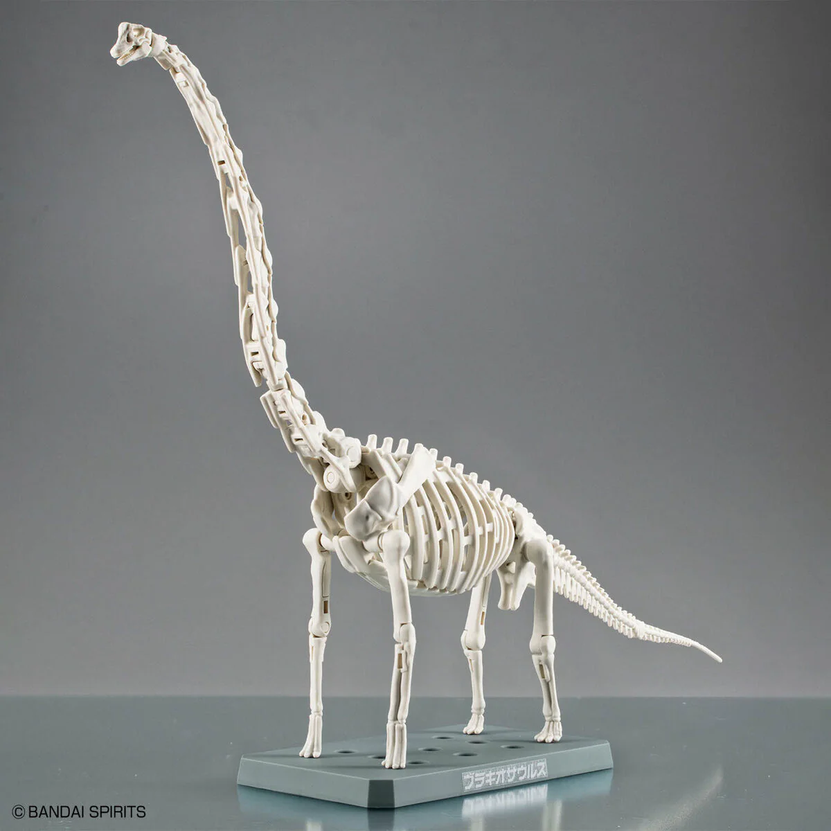 Bandai Plannosaurus Brachiosaurus Model Kit - Image 3