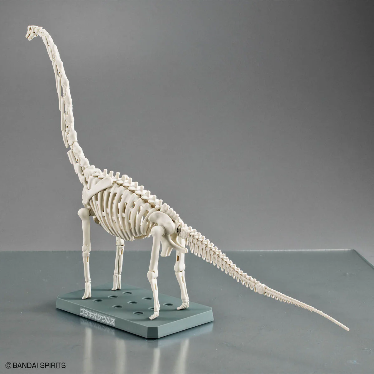 Bandai Plannosaurus Brachiosaurus Model Kit - Image 5