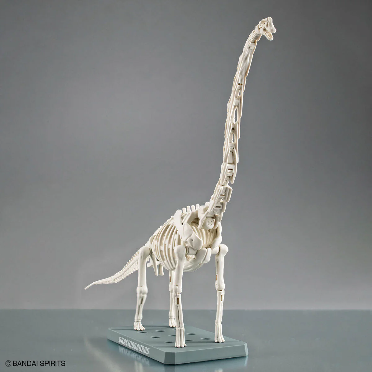 Bandai Plannosaurus Brachiosaurus Model Kit - Image 7