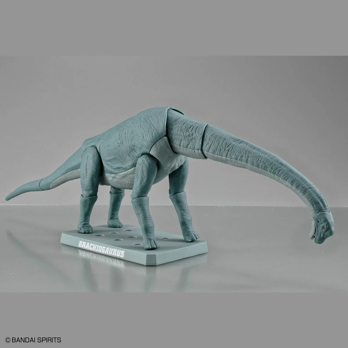Bandai Plannosaurus Brachiosaurus Model Kit - Image 8