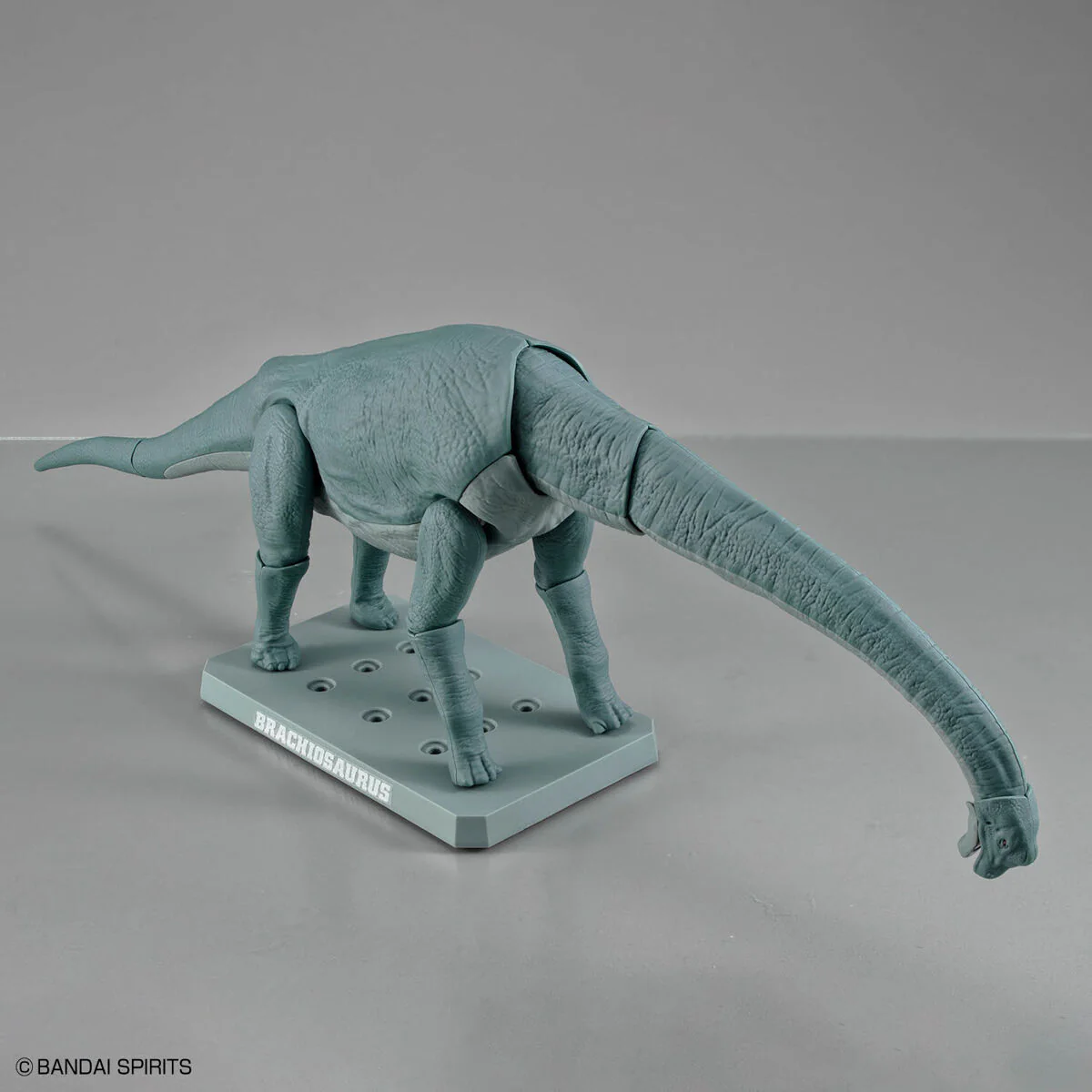 Bandai Plannosaurus Brachiosaurus Model Kit - Image 9